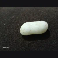 سنگ الماس|کلکسیون اشیاء عتیقه|مشهد, توس (بلوار توس)|دیوار