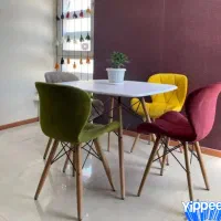 جذابیت وزیبایی رابخانهایتان بیاورید،  HooomSpoortt