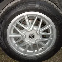 رینگ خرچنگی