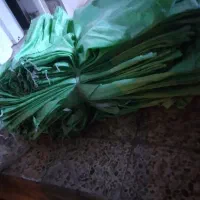 گونی