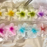 کلیپس و اکسسوری مو