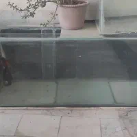آکواریوم