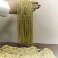 مرجع تخصصی شمس وطلای آبشده