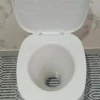 توالت فرهنگی