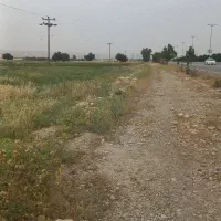 زمین-کشاورزی-سر-کمربندی