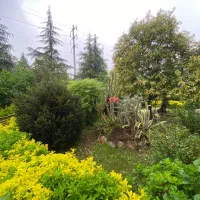 نمک آبرود /ویلا مجاورت فضای سبز|فروش خانه و ویلا|چالوس, |دیوار