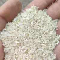 ۱۳۴کیلو لاشه فجر سوزنی ۹۰روزه معطر