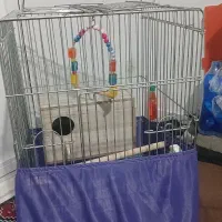 قفس|لوازم جانبی حیوانات|تهران, نظام‌آباد|دیوار