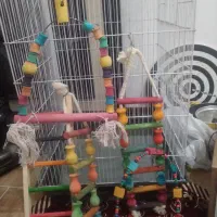 سیستم صوتی و وسایل|سیستم صوتی خانگی|اهواز, کمپلو شمالی|دیوار