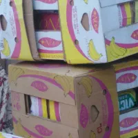 کارتن موزی سالم|عمده‌فروشی|شیروان (خراسان), |دیوار