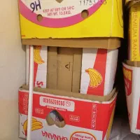 کارتن موزی برای اسباب کشی