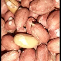 فروش و پخش کلیه محصولات خشکبار و تحویل در محل