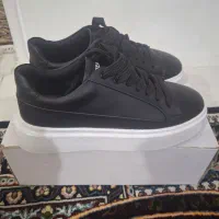 کتانی اسپرت