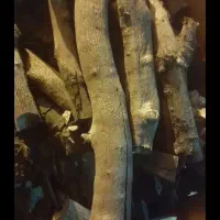 ۳عدد زغال بلیط