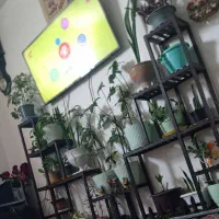 کمد و پایه ی گل|جاکفشی، کمد، دراور|قائن, |دیوار