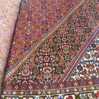 دوتخته زنجان|فرش|میانه, |دیوار