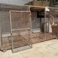 قفس آهنی مرغ و کبوتر|لوازم جانبی حیوانات|خرمشهر, |دیوار