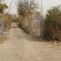 فروش-زمین-زراعی