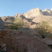 زمین روستای خامه زار