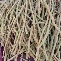ترکه پسته