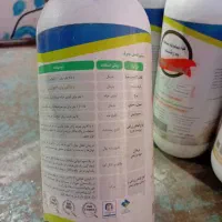 کود بیولوژیک فسفات به رشد