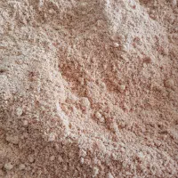 پورسنجدباهسته