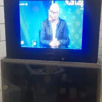 تلوزیون ۲۱ اینچ|تلویزیون و پروژکتور|یزد, |دیوار