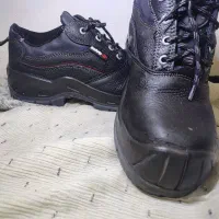 ۳۵۰|بندرخت و رخت‌آویز|زنجان, |دیوار