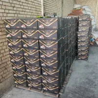 زغال حبه نارگیل