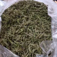 فروش ازبوه
