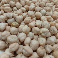 حبوبات و تخم کدوهمه نوعشان عدس لوبیا چیتی لپه نخود