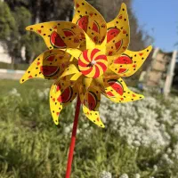 تاج و فرفره های یلدایی