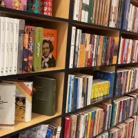 استخدام پاسخگویی تلگرام