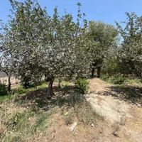 باغچه/تهاتر/انبارتپه /چسب بافت/دورفنس