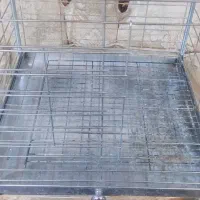 قفس|لوازم جانبی حیوانات|دورود, |دیوار