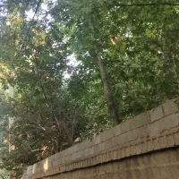 ۲۰۰۰ متر زمین با در و دیوار