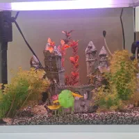 اکواریوم|ماهی|اصفهان, باغ فدک|دیوار