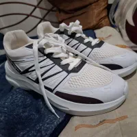 کفش اسپرت قیمت خوب