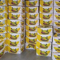 ظروف نگهدارنده کارتن موزی نو