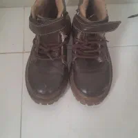 دوتا پوتین مشکی و قهوه ای