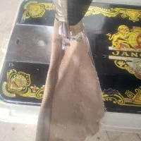 پنکه|پنکه و تصفیهکنندهٔ هوا|شاهینشهر, فیض|دیوار