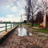 جمعه در سراب نیلوفر