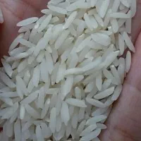 برنج هاشمی درجه یک رشتی