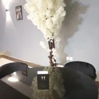 استخدام ادمین تولید محتوا و آشپز ایرانی