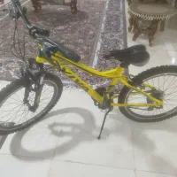 دوچرخه ویوا ۲۴ اینچ|دوچرخه، اسکیت، اسکوتر|بوشهر, |دیوار