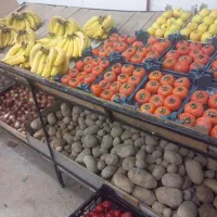 لوازم میوه فروشی