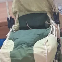 کالسکه به همراه کریر