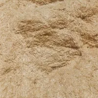 کاه گندم دیم توام بسینم