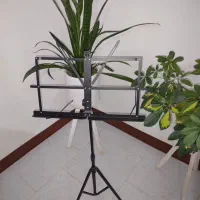 گیتار یاماها اصل مدل C40|گیتار، بیس، امپلیفایر|پردیس, فاز ۸|دیوار