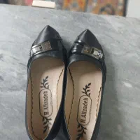 کفش مجلسی|کیف، کفش، کمربند|اقبالیه, |دیوار